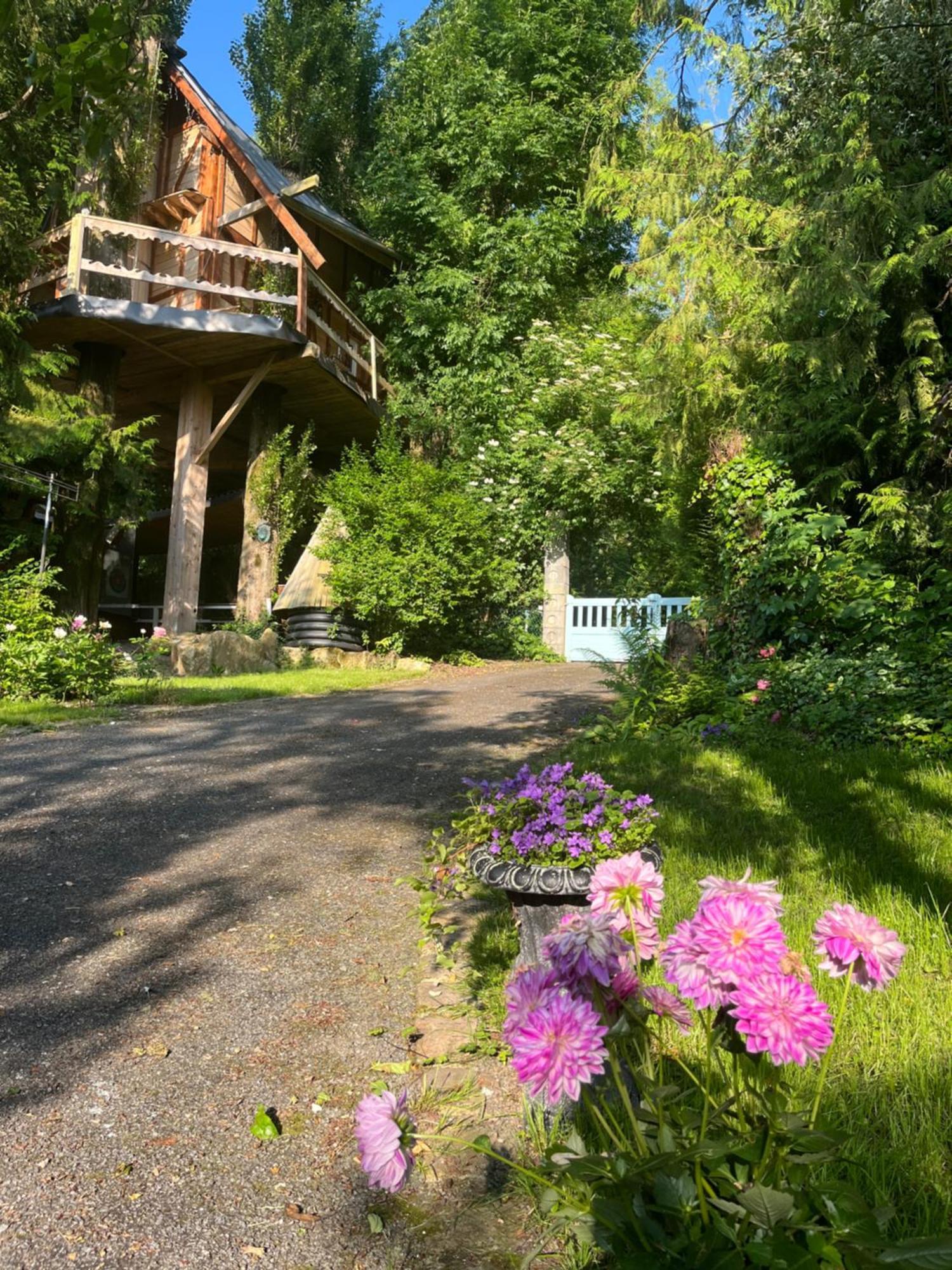 休眠住宿加早餐旅馆 Tillé 外观 照片